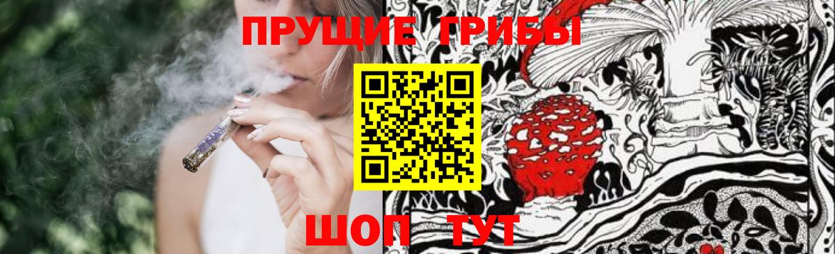 Галлюциногенные грибы GOLDEN TEACHER Курчатов