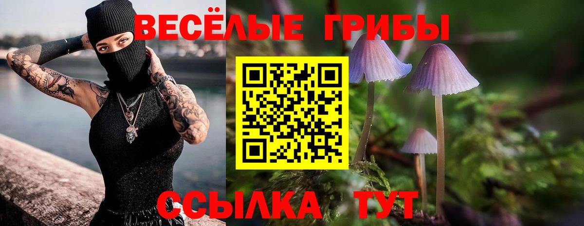 Галлюциногенные грибы MAGIC MUSHROOMS  Галлюциногенные грибы Magic Shrooms  Курчатов  Вход с VPN 